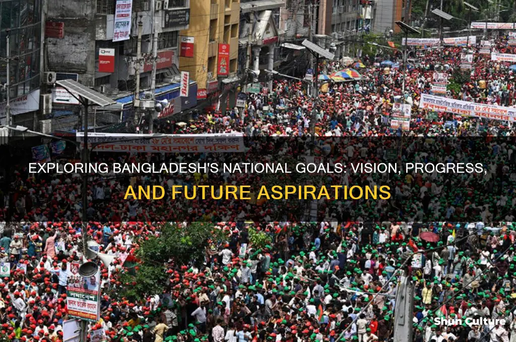 what is the ntional goals of bangladesh