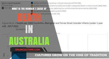 Leading Cause of Death in Australia: Is It Preventable?