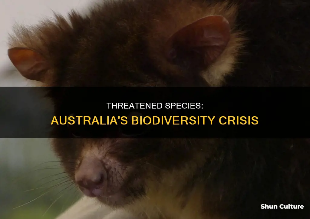 what is the number of threatened species in australia