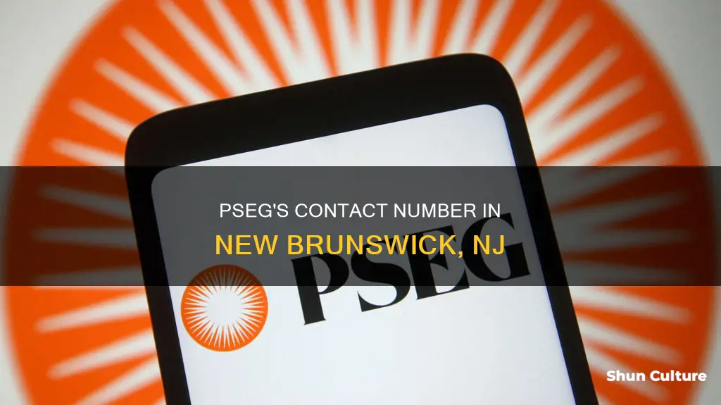 what is the number to pseg in new brunswick nj