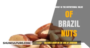 Brazil Nuts: Unlocking Their Nutritional Benefits and Health Value