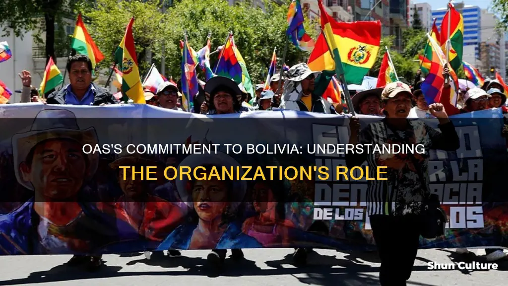 what is the oas doing for bolivia