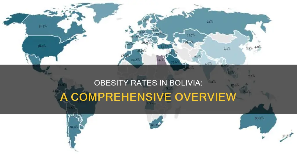 what is the obesity rate for bolivia