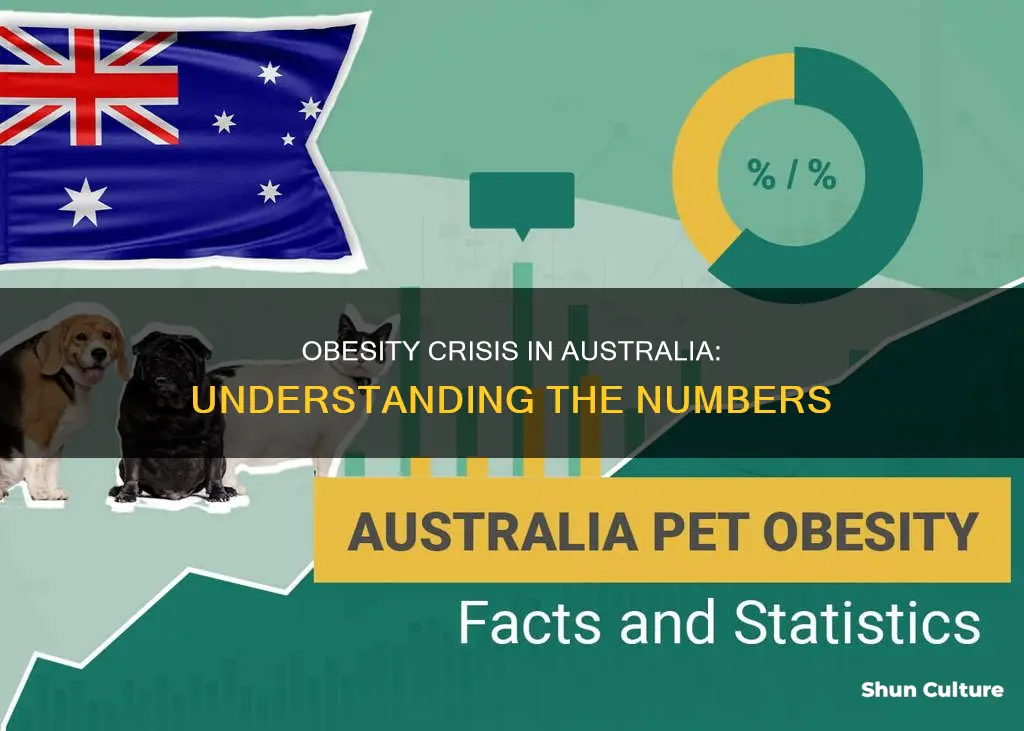 what is the obesity rate in australia