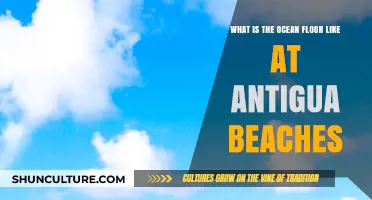 Exploring Antigua's Ocean Floor: A Unique Underwater Landscape Revealed
