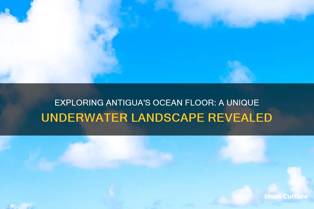 what is the ocean floor like at antigua beaches