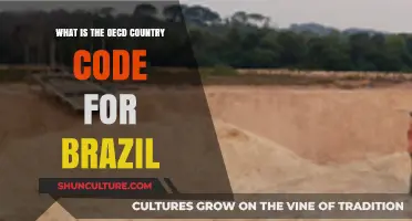 Understanding Brazil's OECD Country Code: A Quick Guide