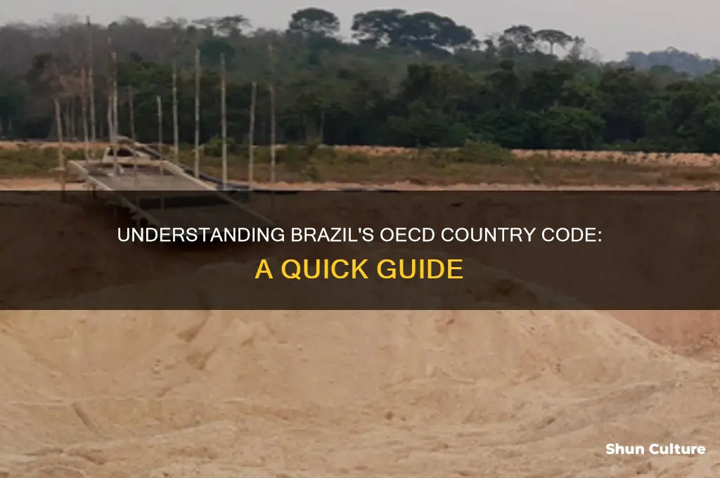 what is the oecd country code for brazil