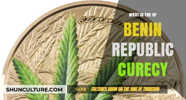 Exploring the Economic Lifeline: Benin Republic's Currency Unveiled
