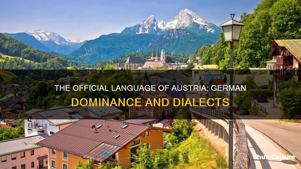 what is the offcial langague of austria