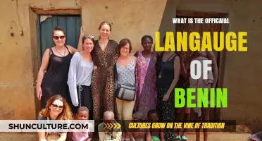 The Official Language of Benin: A Comprehensive Guide