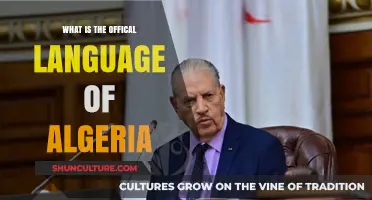 Arabic and Tamazight: Algeria's Official Languages Explained