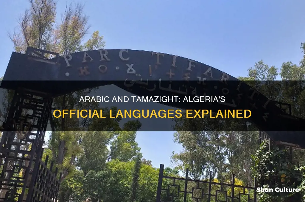 what is the offical language of algeria