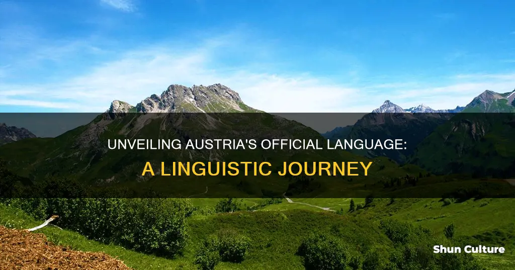 what is the offical language of austria