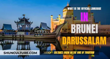 Brunei Darussalam's Official Language: A Cultural Identity