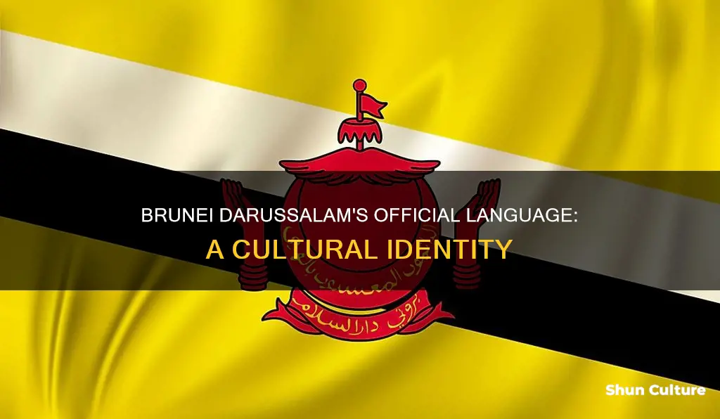 what is the official language in brunei darussalam