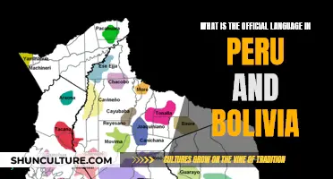 The Official Languages of Peru and Bolivia: A Cultural Insight