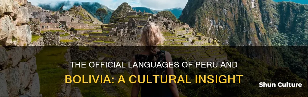 what is the official language in peru and bolivia