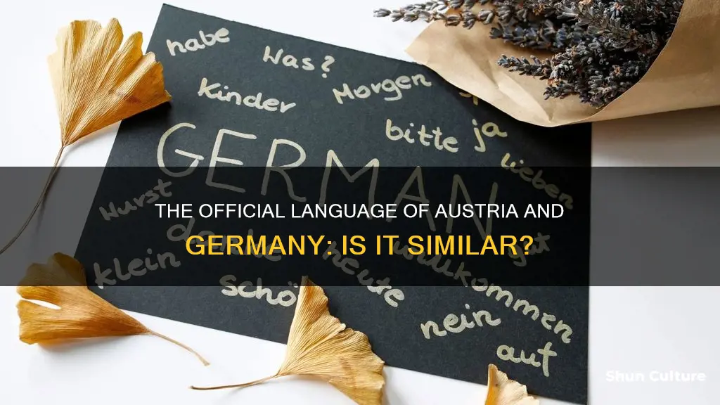 what is the official language of austria and germany
