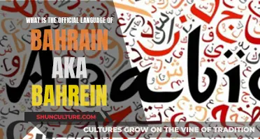 Discover Bahrain's Official Language and Its Cultural Significance