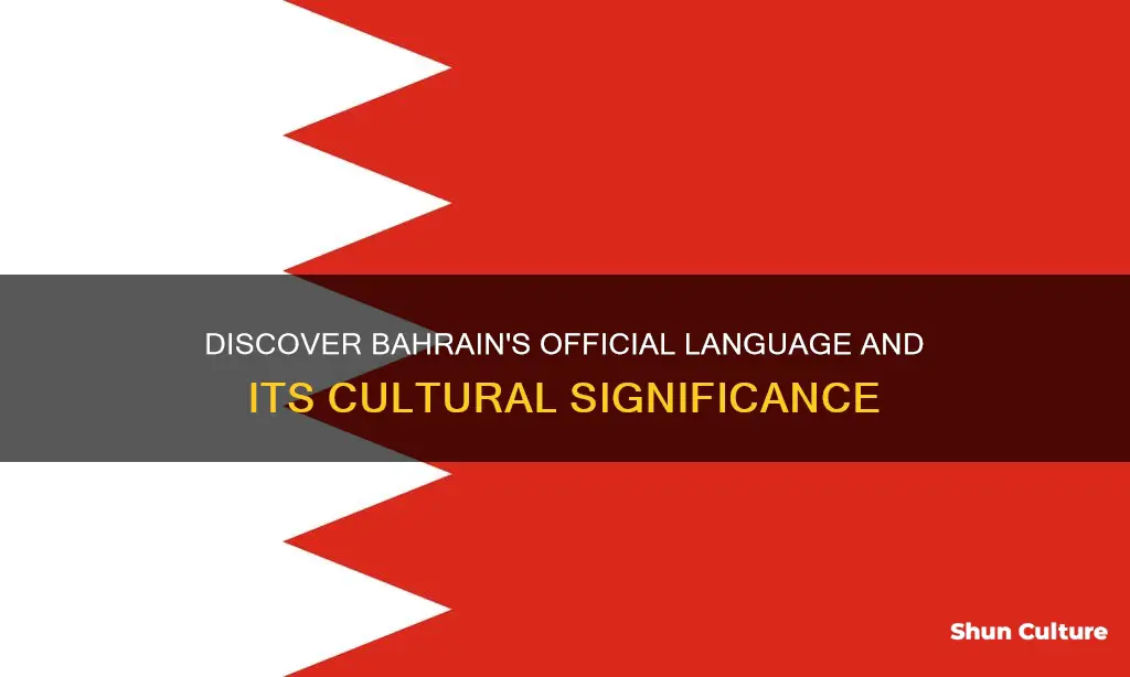 what is the official language of bahrain aka bahrein