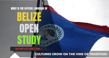 Belize's Official Language: A Study of National Identity and Unity