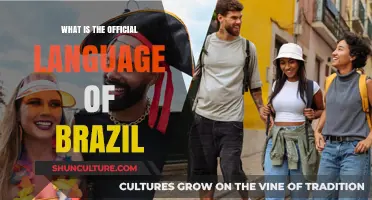 Portuguese: The Official Language of Brazil and Its Cultural Significance