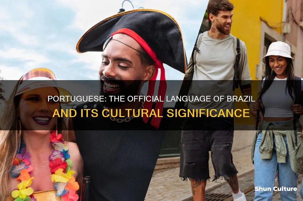 what is the official language of brazil