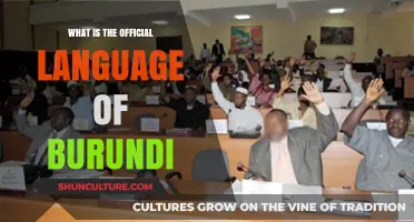 Exploring Burundi's Official Language: A Cultural and Linguistic Insight