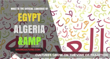 Exploring Egypt & Algeria's Official Languages: Arabic's Dominance and Beyond