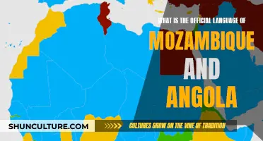 Exploring Mozambique and Angola's Official Languages