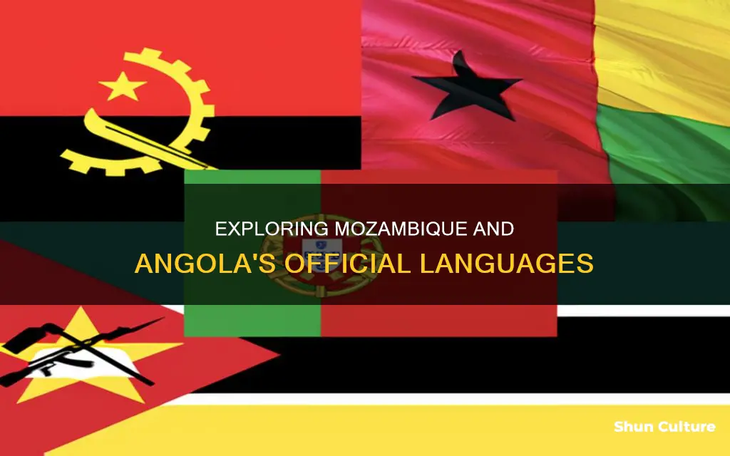 what is the official language of mozambique and angola