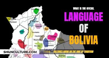 Bolivia's Official Language: A Cultural Identity