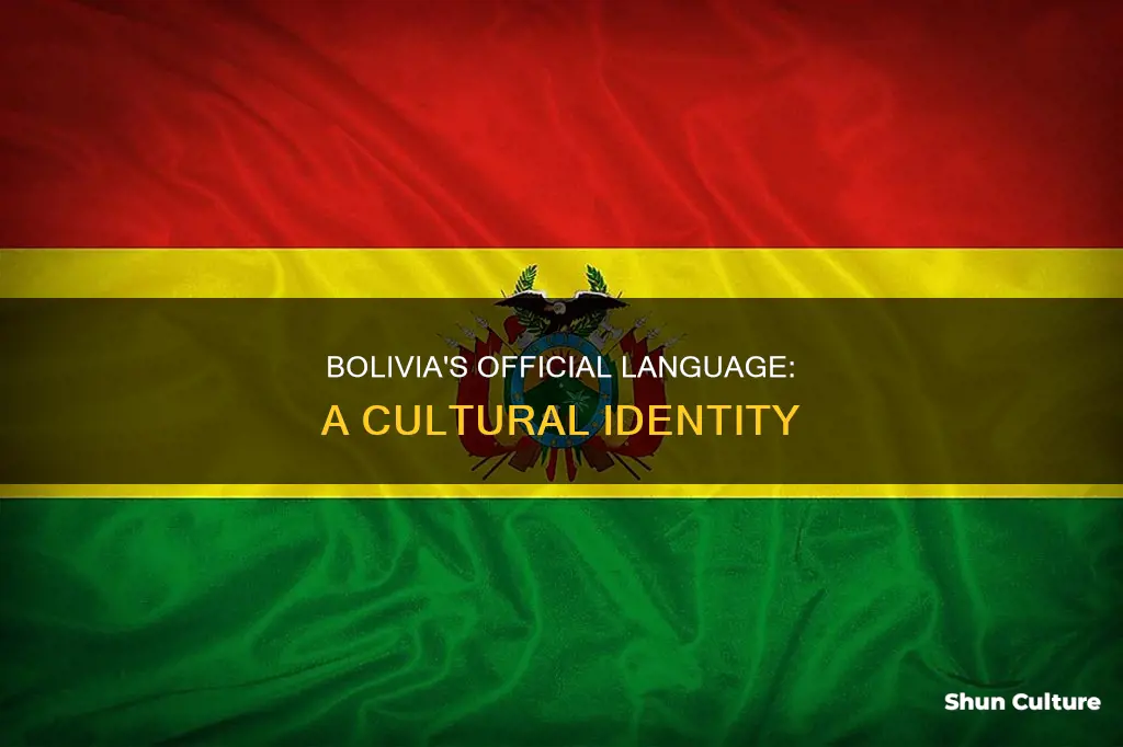 what is the oficial language of bolivia