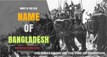 Unveiling Bangladesh's Historical Identity: Exploring Its Ancient Name and Origins