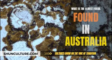 Oldest Australian Fossil: Unveiling Ancient Secrets Down Under