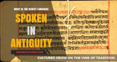 Unveiling Antiquity's Oldest Spoken Language: A Journey Through Time