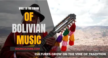 Exploring the Rich History of Bolivian Music