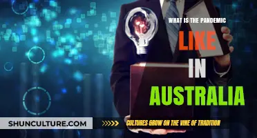 Australia's Pandemic Experience: Challenges, Resilience, and Recovery Insights