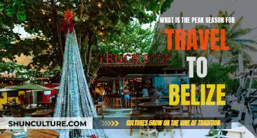 Belize's Travel Sweet Spot: Navigating the Peak Season