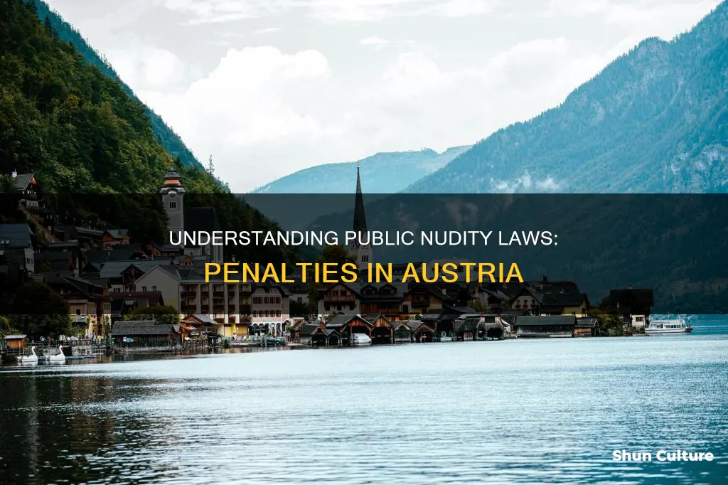 what is the penality for public nudity in austria