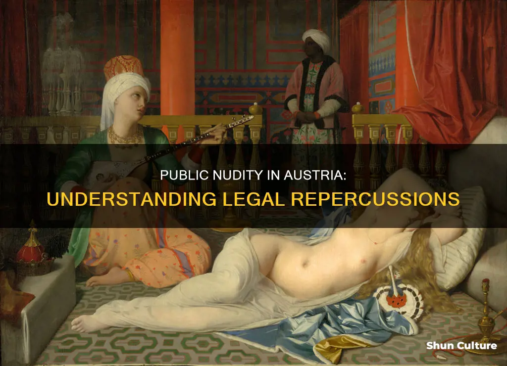what is the penality for public nudity in austria
