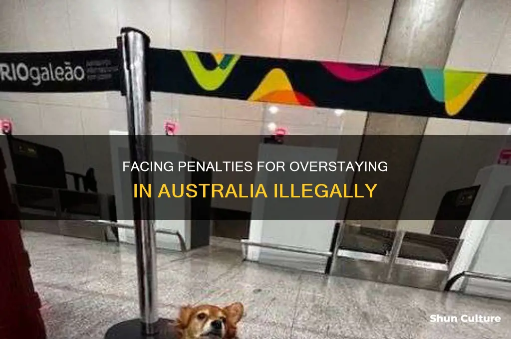what is the penalty for being in australia illegally