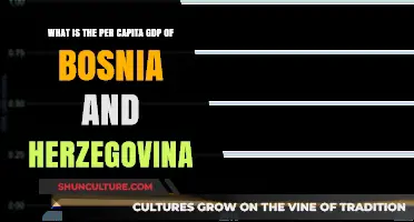 Understanding Bosnia and Herzegovina's Per Capita GDP: Economic Insights