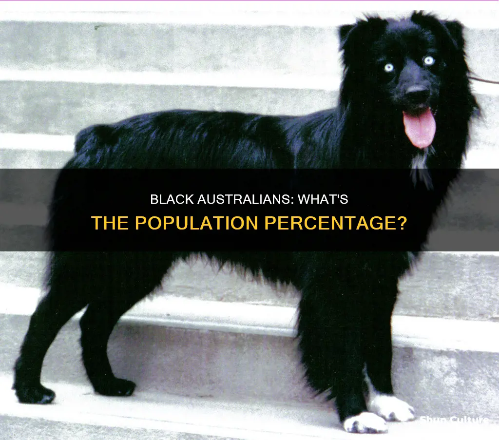 what is the percentage of black people in australia