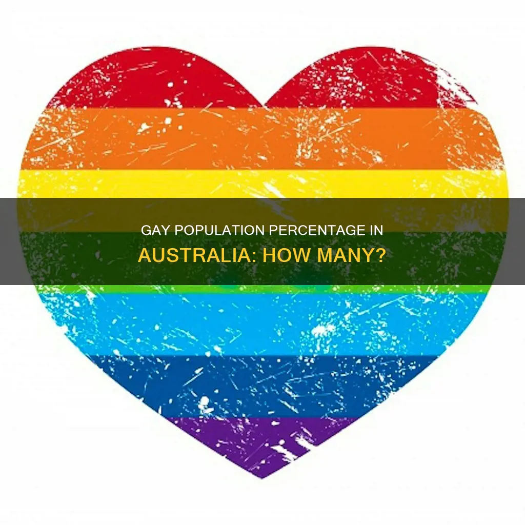 what is the percentage of gay population in australia