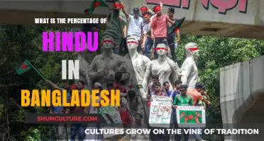 Hindu Population in Bangladesh: Understanding the Percentage and Trends