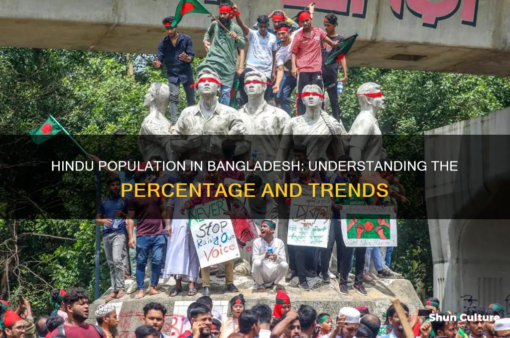 what is the percentage of hindu in bangladesh