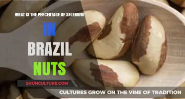 Selenium Content in Brazil Nuts: Unveiling the Surprising Percentage