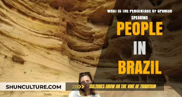 Spanish Speakers in Brazil: Understanding Their Percentage and Influence